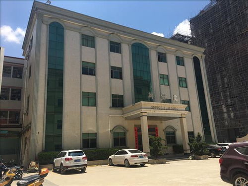 岳陽市房屋改造安全檢測(cè)鑒定報(bào)告辦理勞務(wù)服務(wù)指南